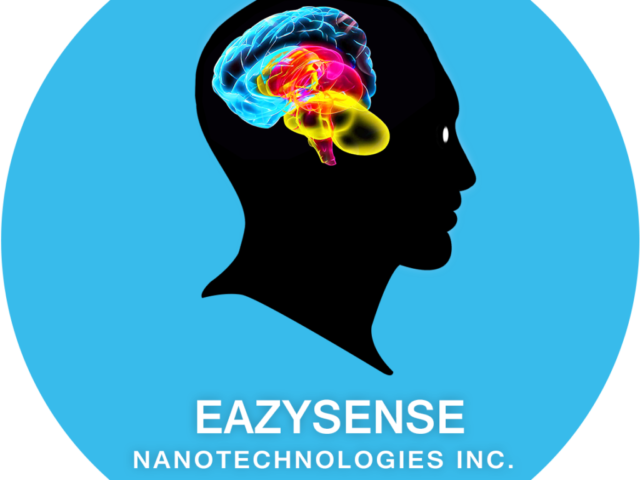 Logo of eazysense nanotechnologies inc.