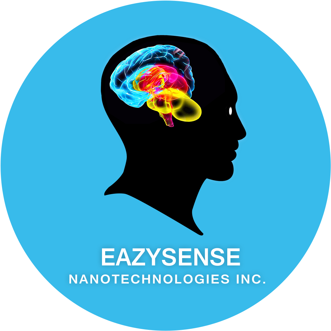 Logo of eazysense nanotechnologies inc.